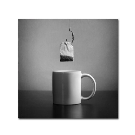 Trademark Fine Art Victoria Ivanova 'Untitled' Canvas Art, 14x14 1X00519-C1414GG